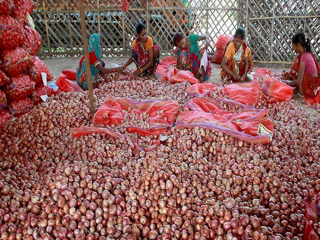 Government Builds Record Reserve Of Tonnes Of Onions