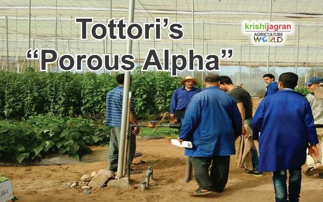 From Waste to Wonder: Tottori’s “Porous Alpha”