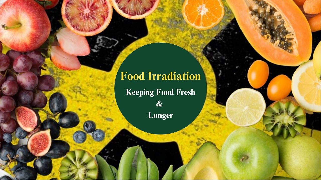 Food Irradiation’s Role in Extending Shelf Life of Agricultural Produce