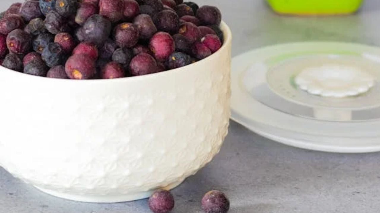Phalsa: A Profitable Fruit Crop for Sustainable Agriculture and ...