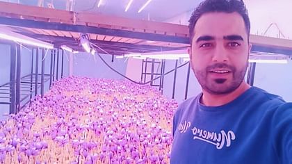 Himachal Entrepreneur Earns Big from Indoor Saffron Farming with Aeroponics, Selling at Rs 5 Lakh per Kg