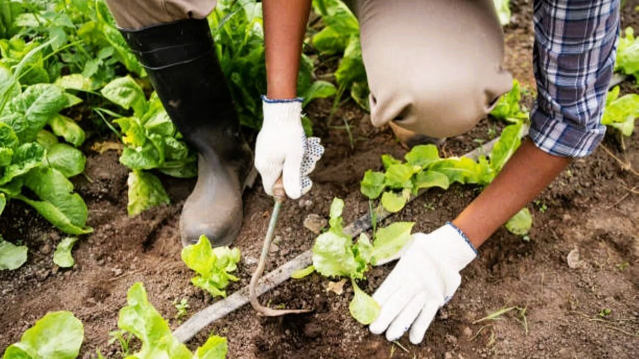 Key initiatives of the Ministry of Agriculture and well-being of farmers