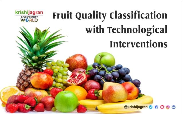 Fruit Quality Classification with Technological Interventions