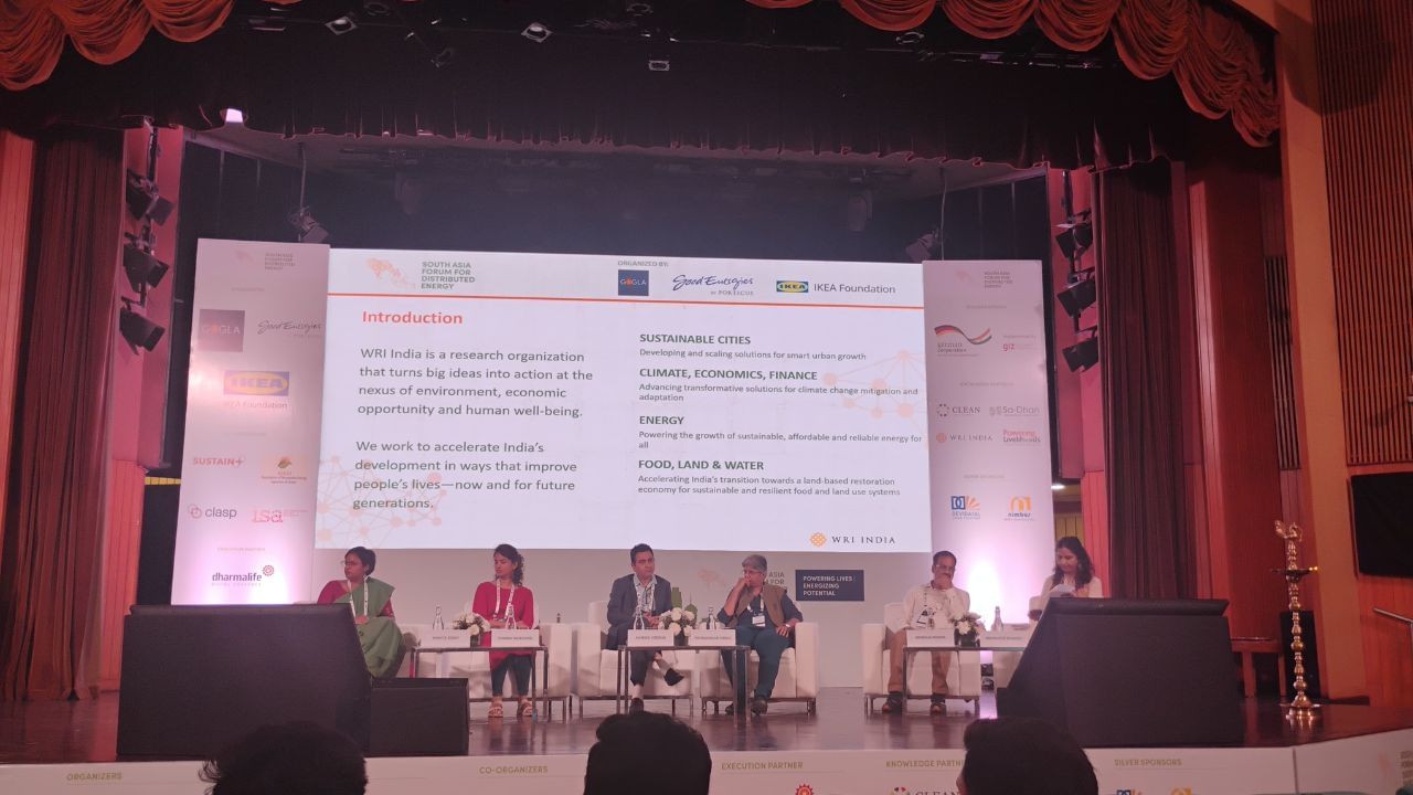 Glimpses of South Asia Forum for Distributed Energy (SAFDE) 2025
