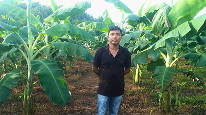 From Soil to Success: How an Assam Farmer Turned Banana Farming into a Rs 30 Lakh-a-Year Business