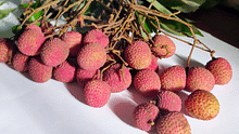 Why Litchi Deserves a Spot in Your Summer Wellness Routine—Delicious and Healthy