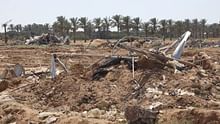 Over 95% of Gaza's Agricultural Land Unusable, Putting Entire Population at Risk of Famine: FAO