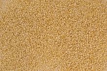 Boost Sesame Yields with These Disease-Resistant Varieties Ideal for Rajasthan's Dry Conditions