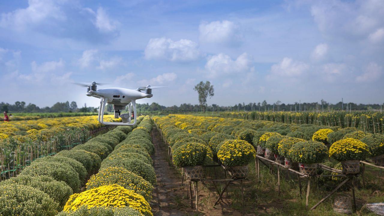 MahaAgri-AI Policy: Maharashtra Cabinet Approves Rs 500 Crore Initiative to Revolutionize Farming with AI