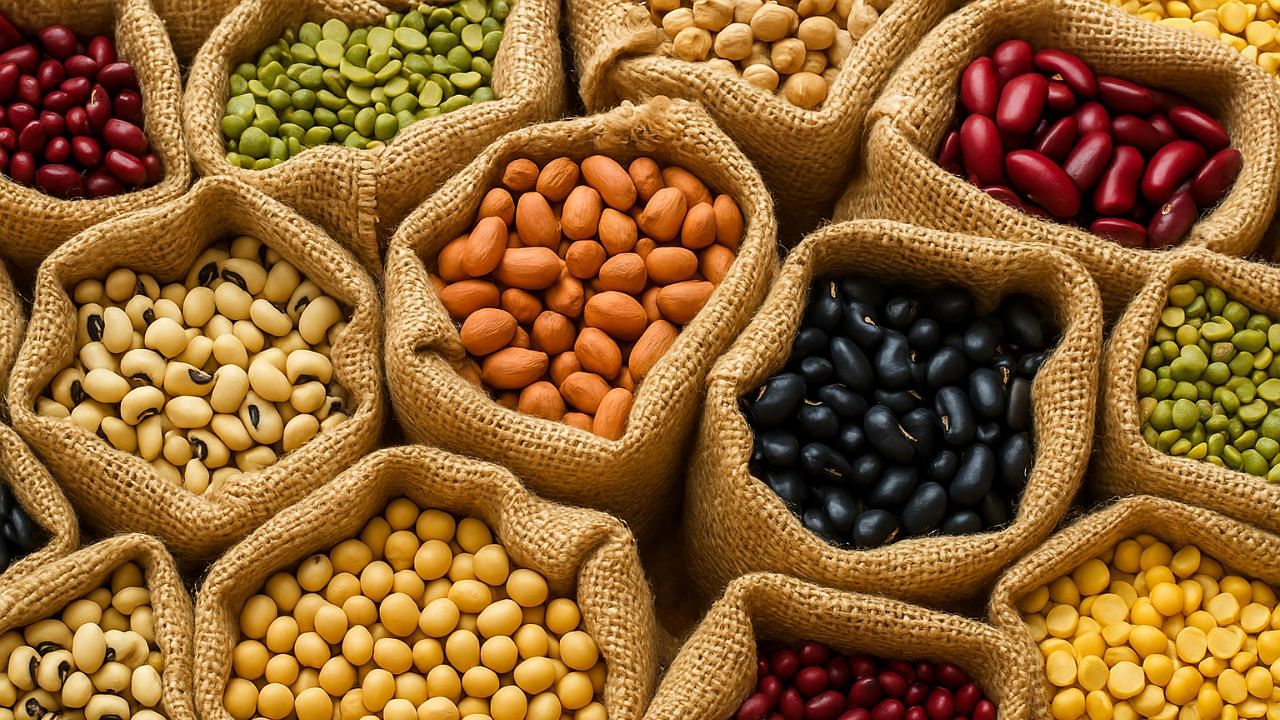 Scientists Develop New Heating Method That Makes Legumes Easier to Digest