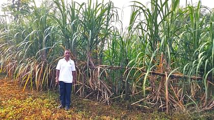 How Natural Farming Helped This 38-Year-Old Odisha Farmer Triple His Income & Empower His Community