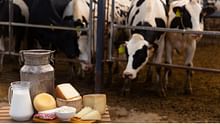 Global Food Prices Rise Slightly in June 2025 as Meat, Dairy, And Vegetable Oil Costs Climb: FAO