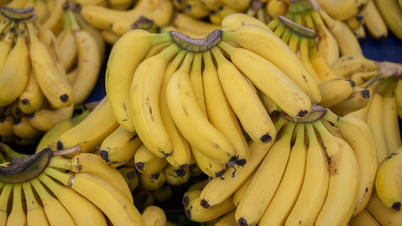 India’s Banana Exports Surge Tenfold to $250.6 Million, Yet Global Share Remains Just 1.2%