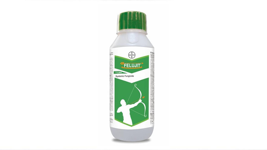 Bayer Launches Felujit: Advanced Fungicide for Effective Sheath Blight Control in Paddy Cultivation