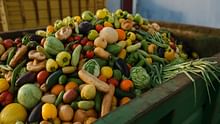 Food Security Through Sustainability: A Twin-Pillar Strategy to Cut Food Waste and Empower Trade