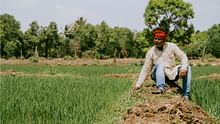 PMKSY: Cabinet Approves Rs 6,520 Crore Outlay for Pradhan Mantri Kisan Sampada Yojana During 15th Finance Commission Cycle