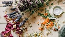 Dried Flowers, Fresh Opportunities: A Blooming Business for Indian Farmers