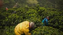 Natural Farming: A Step Toward Eco-Friendly Fields, Nourishing Food, and Farmer Well-Being