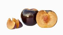Black Amber Plum: 'Black Gold' of Orchards Promising High Returns for Indian Farmers