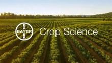 Bayer CropScience Limited reports Q1 Results for FY 2025-26