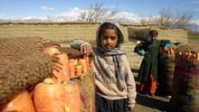 FAO and UK Launch ReAL Project to Support Over 1.5 Lakh Afghans Facing Food Insecurity and Climate Crisis