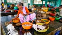 Govt, ICAR-CMFRI to Sign MoU in Kerala to Train 690 Minority Candidates under PM VIKAS