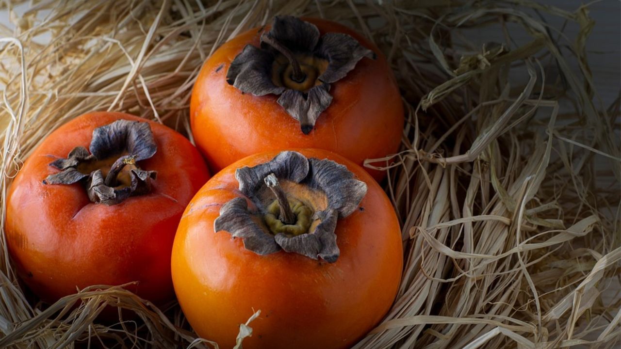 American Persimmon: Sweet Secret to Health, Glow, and Gut Power This Fall!