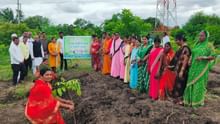 From Grazing Land to Green Gold: How a Village Turned 35 Acres into a Living Bamboo Museum