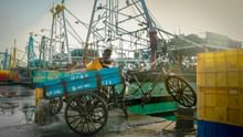 India, FAO Join Hands to Develop ‘Blue Ports’; Govt to Build Rs 369 Crore Smart Fishing Harbours in Gujarat, Diu, Puducherry