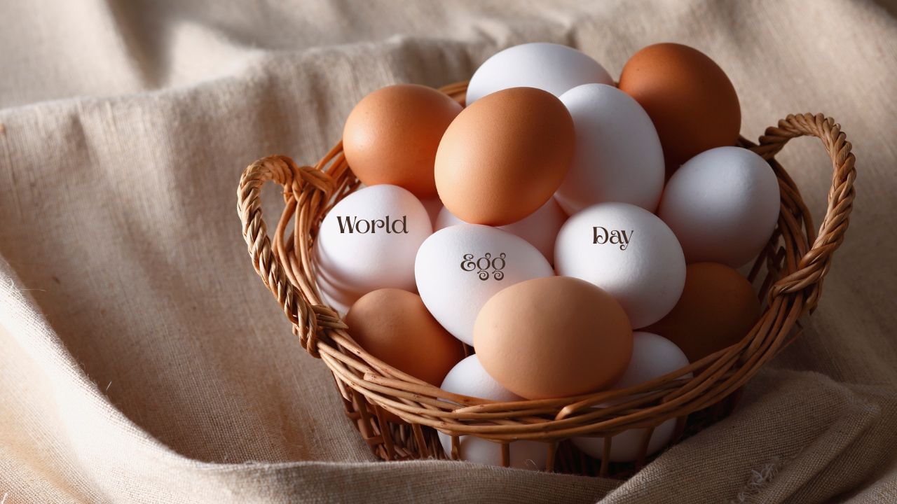 World Egg Day 2025: Celebrating the Mighty Egg, Nature’s Powerhouse of Nutrients