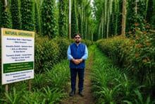 Bastar's 'Natural Greenhouse' Receives National Scientific Recognition, Offering a Nature-Based Pathway to Reduce Fertiliser Dependence, Save Foreign Exchange and Build Climate-Resilient Agriculture