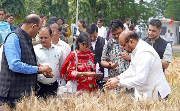 Secretary (DARE) &amp; DG, ICAR reviews ongoing research and development initiatives at ICAR-IIWBR, Karnal