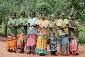 Cauvery Calling: 13.4 Crores Trees Planted, Targets 1.2 Crore in 2026-27