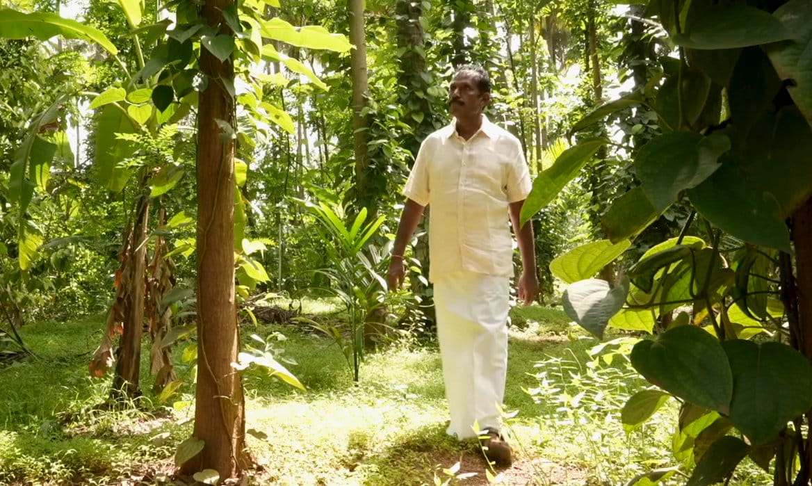 In Pictures: Cauvery Calling’s Journey to 13.4 Crore Trees and Sustainable Farming