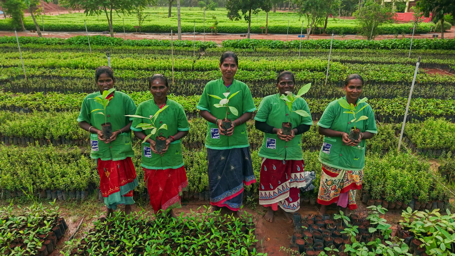 In Pictures: Cauvery Calling’s Journey to 13.4 Crore Trees and Sustainable Farming