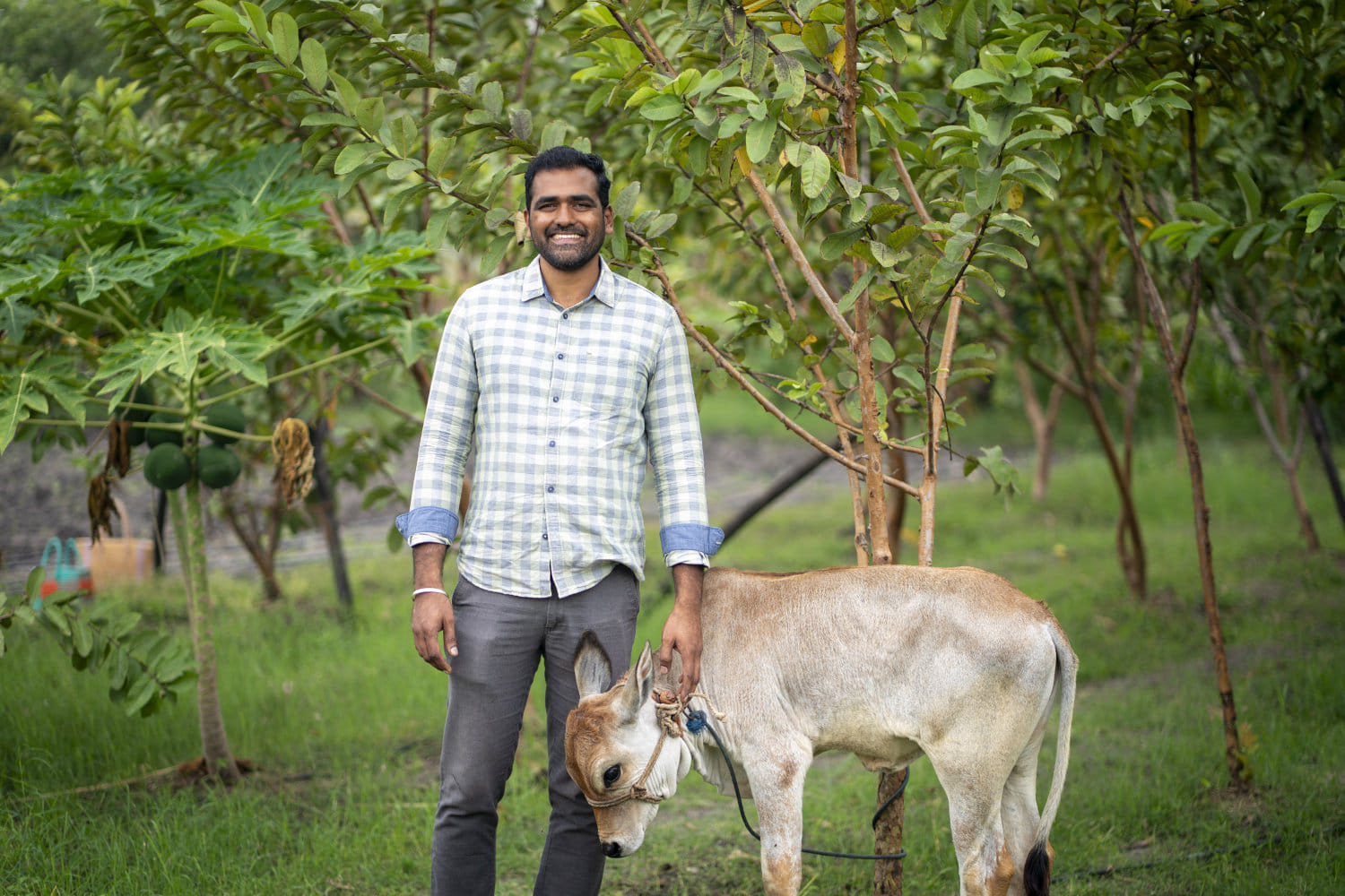 In Pictures: Cauvery Calling’s Journey to 13.4 Crore Trees and Sustainable Farming