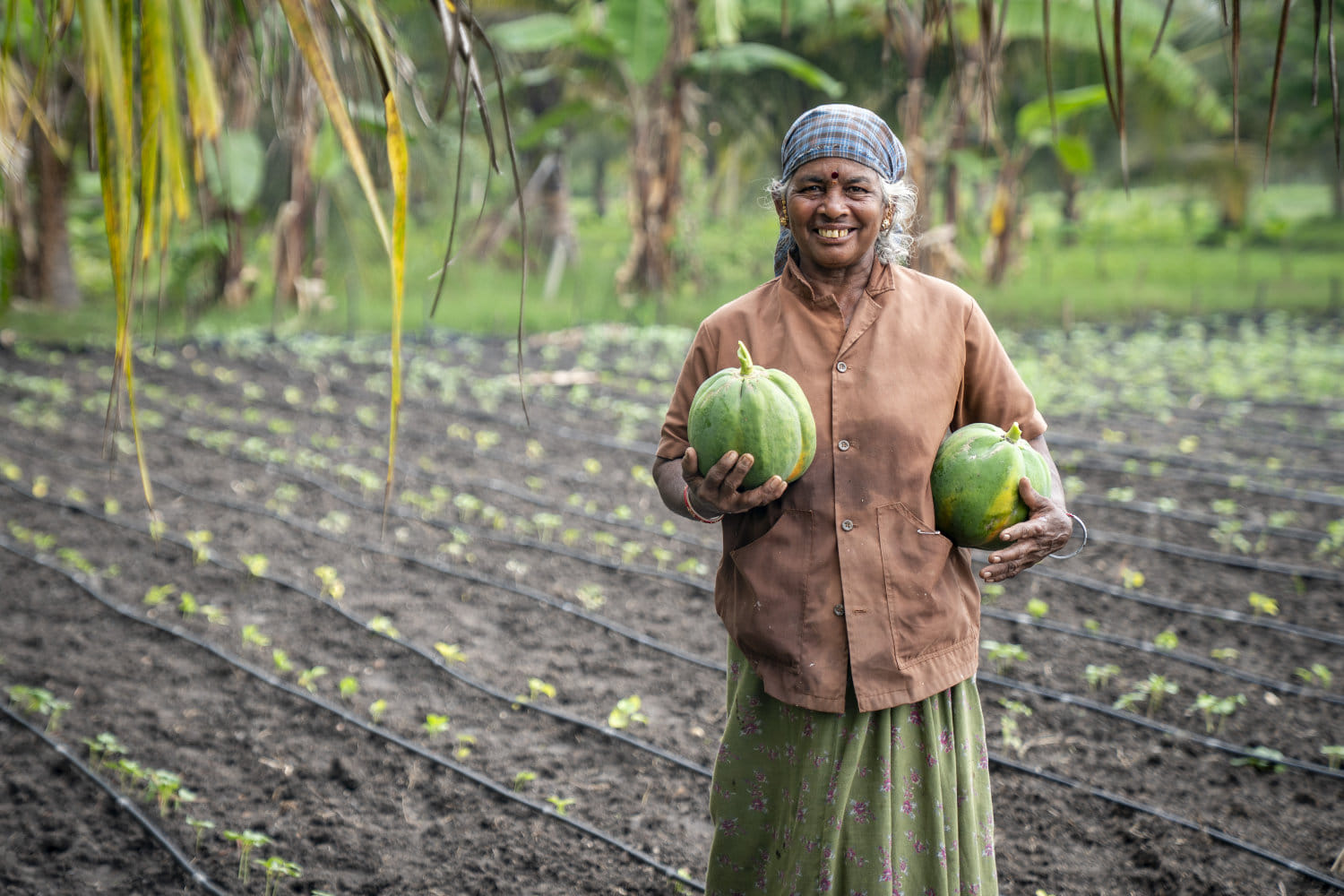 In Pictures: Cauvery Calling’s Journey to 13.4 Crore Trees and Sustainable Farming