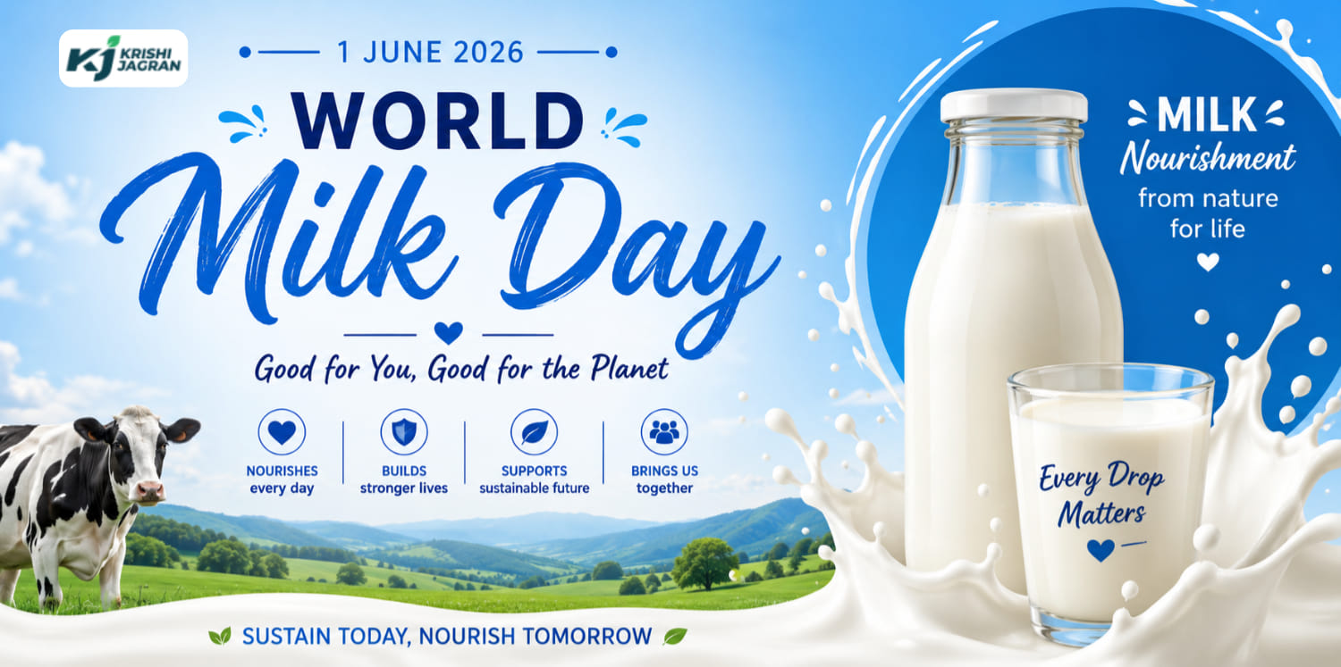 The Hands That Milk the Nation Celebrating Women Farmers on World Milk Day  2026