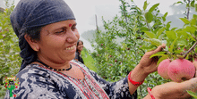 Project Unnati Apple enables a mother-daughter duo in Uttarakhand Village to build a climate-resilient apple orchard