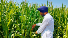 Marking World Environment Day, Pernod Ricard India Drives Climate Action at Scale Across Operations and Beyond