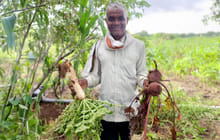 Regenerative Agriculture boosts soil moisture by 40 percent and increase crop yield quality, says ICAP Study by United Way Mumbai