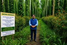 Bastar's 'Natural Greenhouse' Receives National Scientific Recognition, Offering a Nature-Based Pathway to Reduce Fertiliser Dependence, Save Foreign Exchange and Build Climate-Resilient Agriculture