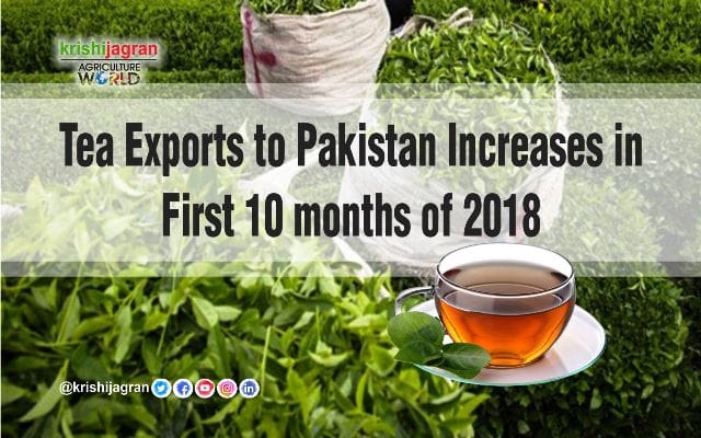 Tea Exports to Pakistan Increases in First 10 months of 2018
