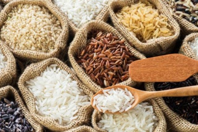 Conference on Trait Improvement of Rice through Emerging Technologies ...