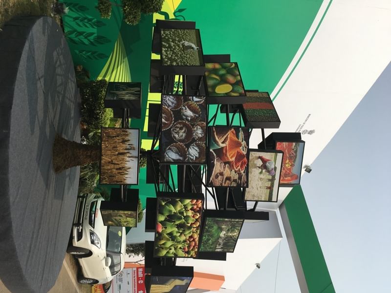 Digital tree showing different sectors as branches