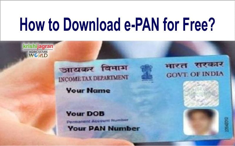 Now New PAN Card Applicants Can Download e-PAN Free of Cost; Check ...