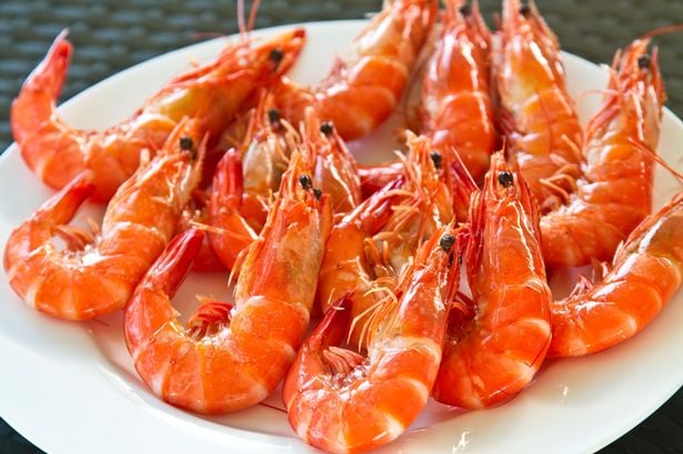 Prawne Guide for FRESHWATER PRAWN CULTURE