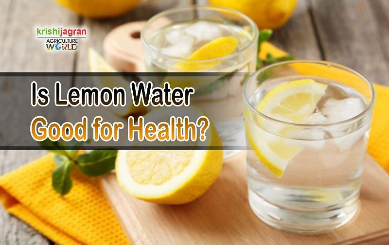 Disadvantages of drinking lemon water best sale