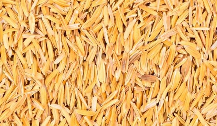 Researchers Develop Self-cleaning Coating Material from Rice Husk