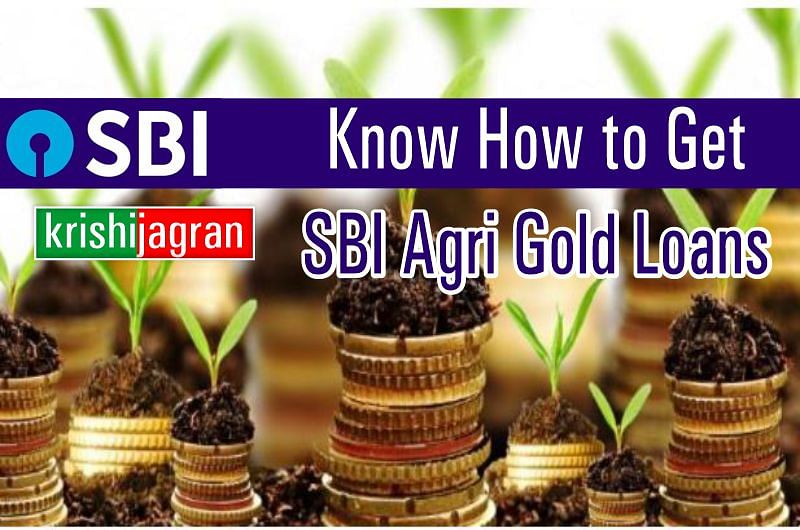 Agri Gold Loan: How Farmers Can Get SBI Multipurpose Agriculture Gold ...